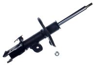 Amortizer DENCKERMANN DSB395G
