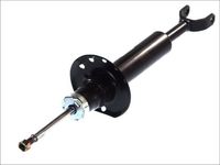 Amortizer Magnum Technology AGW110MT