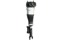 Amortizer Magnum Technology APW011MT