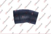 Crevo interkulera KAUTEK VW-TH030