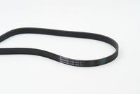 Garnitura klinastog rebrastog kaiša CONTINENTAL CTAM 6PK1873K3