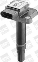Indukcioni kalem (bobina) BorgWarner (BERU) ZSE068