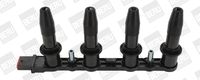Indukcioni kalem (bobina) BorgWarner (BERU) ZSE153