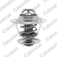 Termostat, rashladna tečnost CALORSTAT by Vernet TH5151.84J