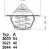 Termostat, rashladna tečnost BorgWarner (Wahler) 3141.87D
