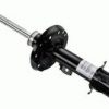 Amortizer SACHS 315 873
