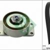 Garnitura klinastog rebrastog kaiša Schaeffler INA 529 0216 10