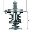 Termostat, rashladna tečnost MAHLE TX 71 82D