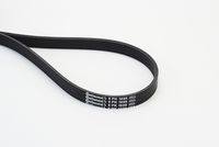 Klinasti rebrasti kaiš CONTINENTAL CTAM 6PK1698