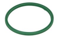 Zaptivni prsten, crevo interkulera THERMOTEC DXW013TT