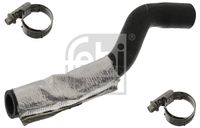 Crevo za ulje FEBI BILSTEIN 100317