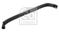 Crevo, odušak bloka motora FEBI BILSTEIN 36031
