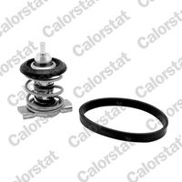 Termostat, rashladna tečnost CALORSTAT by Vernet TH9283.88J