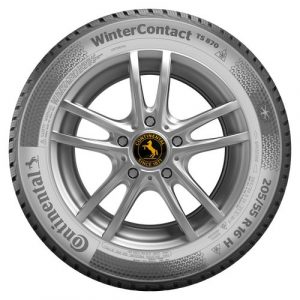 Zimska guma za putnička vozila CONTINENTAL 205/55R16 ZOCO 91T TS870